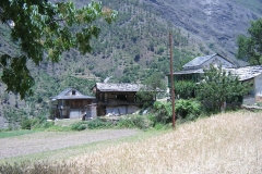 473455_449157478428990_391006879_o
