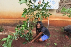 neela-plantaion-2