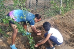 IMG-20190706-WA0013