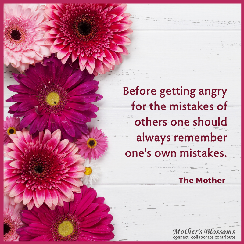 04 Before Getting Angry For The Mistakes Of Others One Should Always Remember One S Own Mistakes.