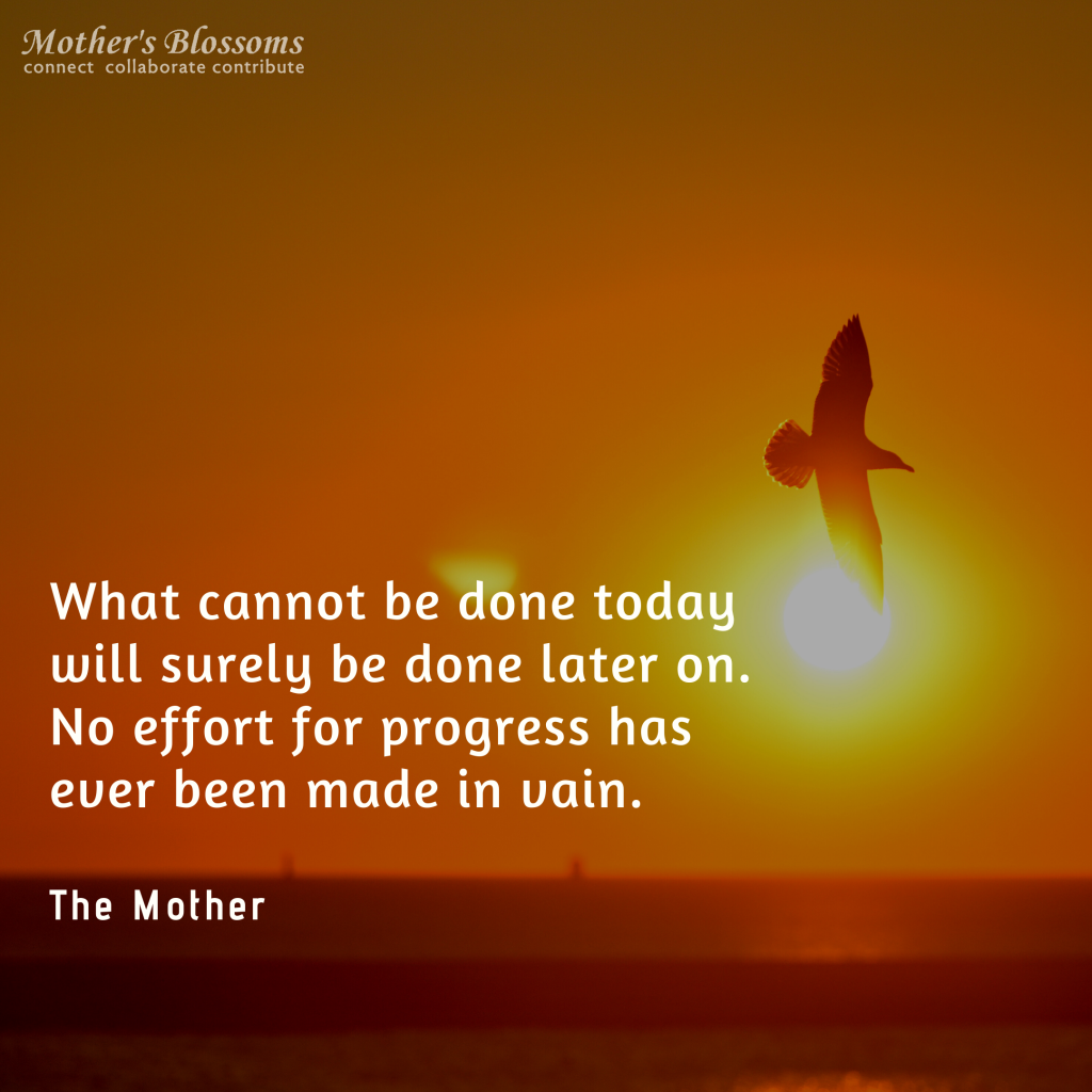 12 What Cannot Be Done Today Will Surely Be Done Later On. No Effort For Progress Has Ever Been Made In Vain. 1024x1024