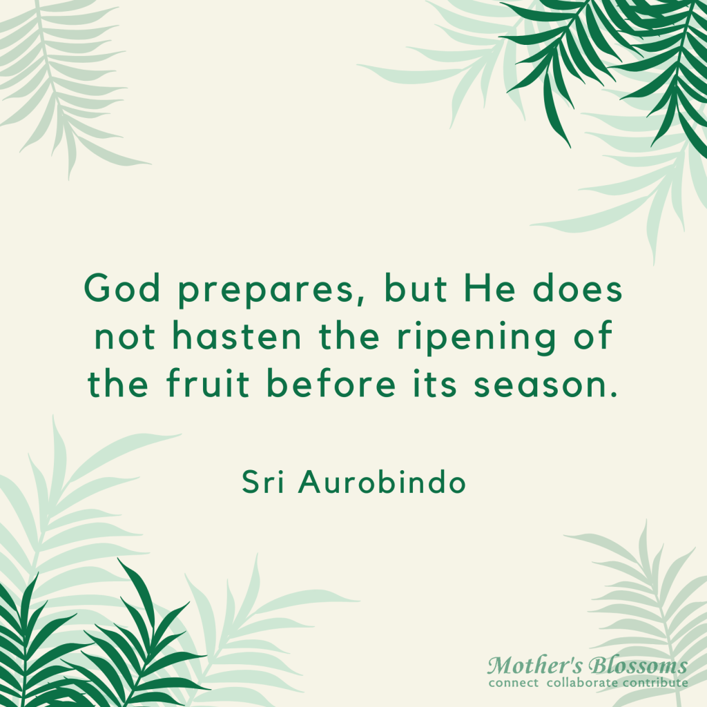 God prepares, but He does not hasten the ripening of the fruit before its season.